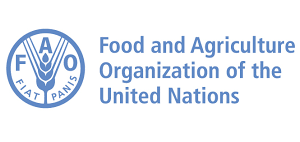 FAO United Nations Recruitment