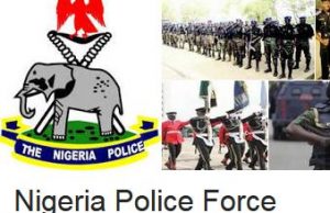 Nigerian Police Ranks And Their Salaries 