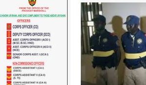 Lagos State Neighbourhood Safety Corps Salary