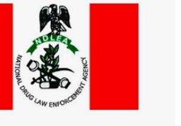 Free NDLEA Past Questions 