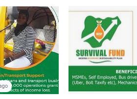 Survival Fund Registration Portal