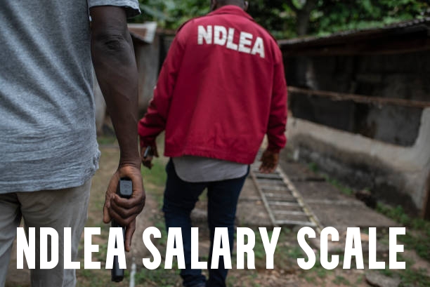 NDLEA Salary Scale and Structure 2021