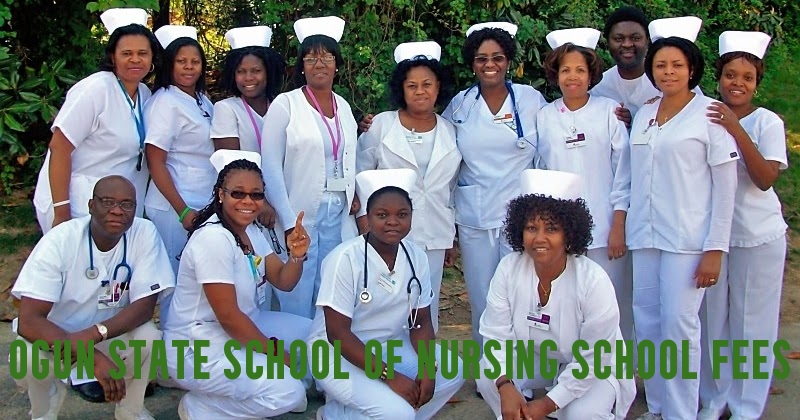 Ogun State School of Nursing School Fees
