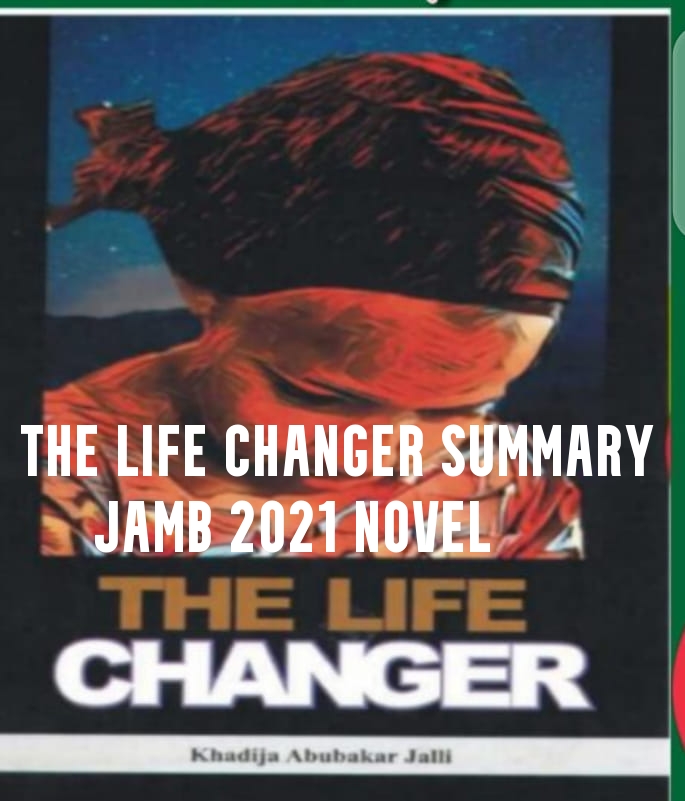 The Life Changer Summary Jamb 2021 Novel