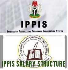 IPPIS Salary Structure for University