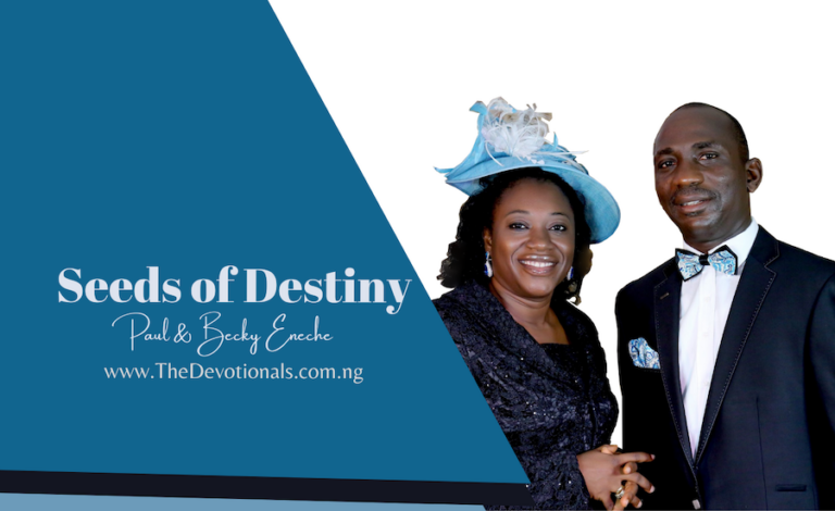 Seed of Destiny Today