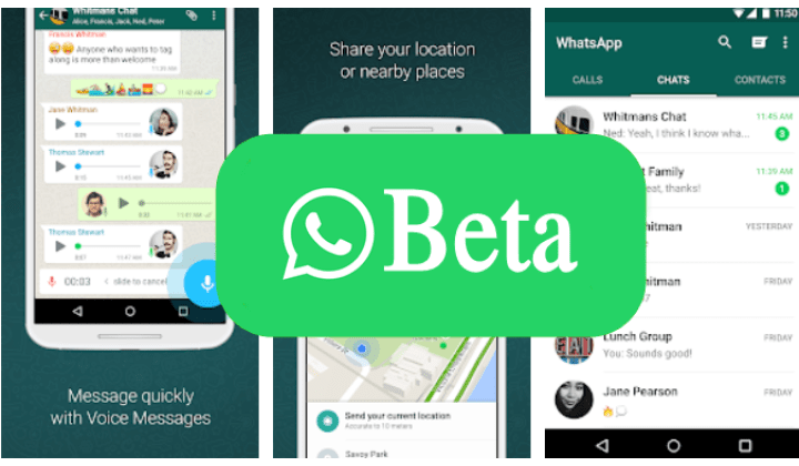 WhatsApp Beta Download