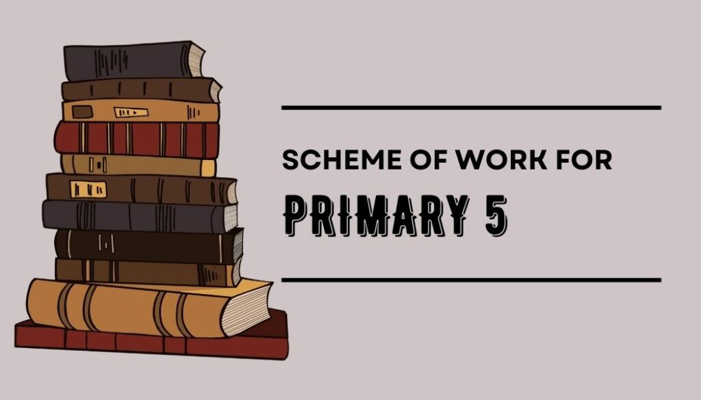 Scheme of Work for Primary 5